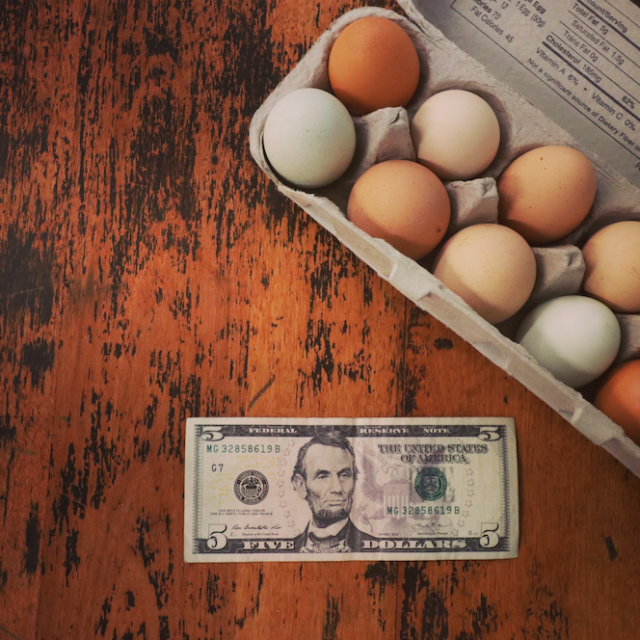 MAKE PROFIT FROM FARM FRESH EGGS (and other homesteading ventures)