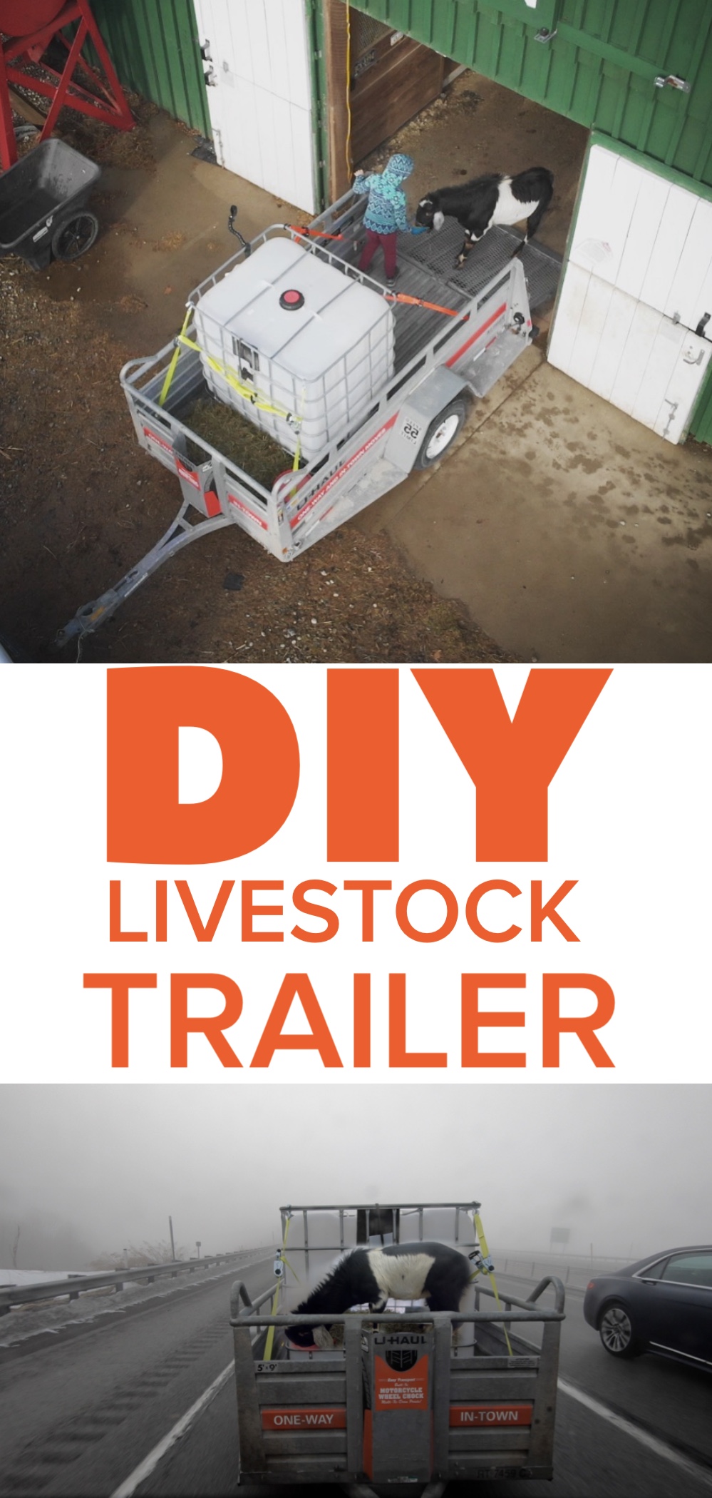DIY Livestock Trailer IBC Totes