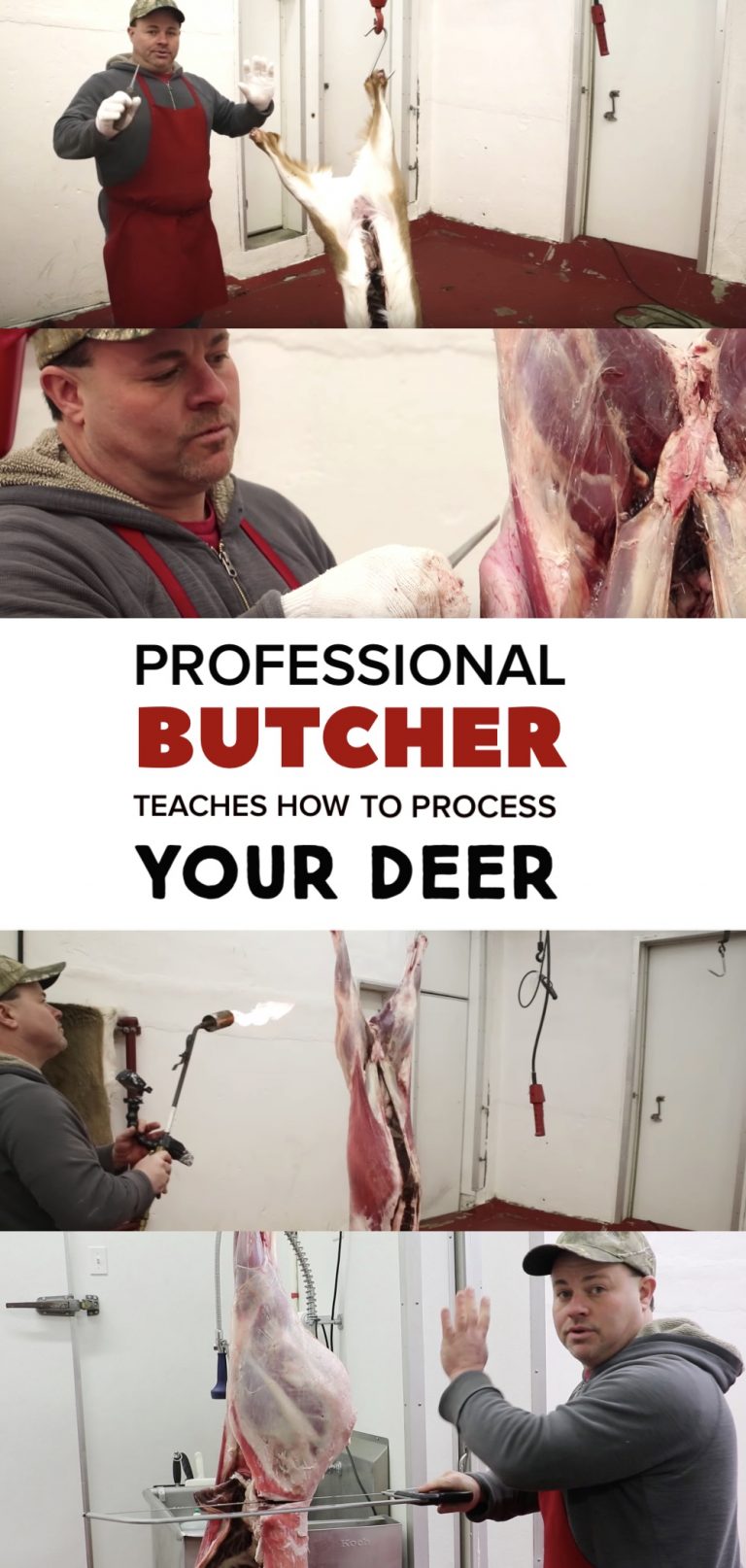 A Professional Butcher Teaches How To Butcher a Whitetail Deer Homesteady