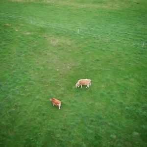 The Do’s and Don’ts of Electric Fencing for Portable Pasturing