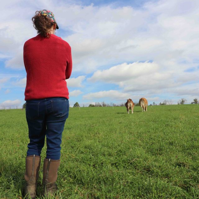 2 Farm Animals that PRODUCE MORE FOOD Than ANY OTHER