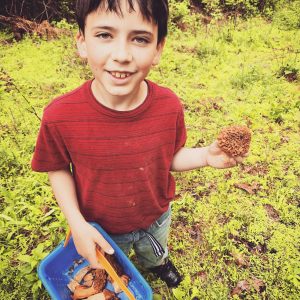 Pennsylvania Morel Mushroom Hunt