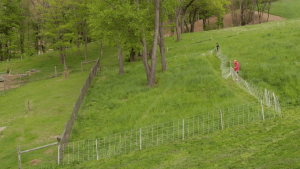 How To Set Up Electric Fence for Goats and Train Them to it in just 30 Min