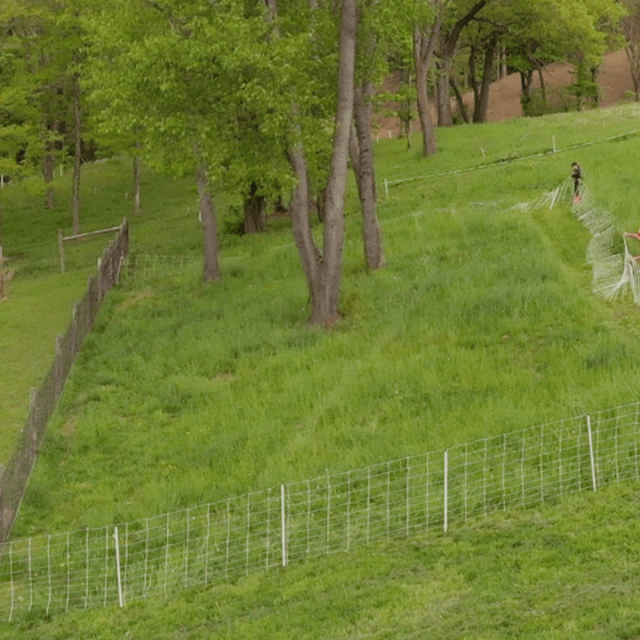 How To Set Up Electric Fence for Goats and Train Them to it in just 30 Min