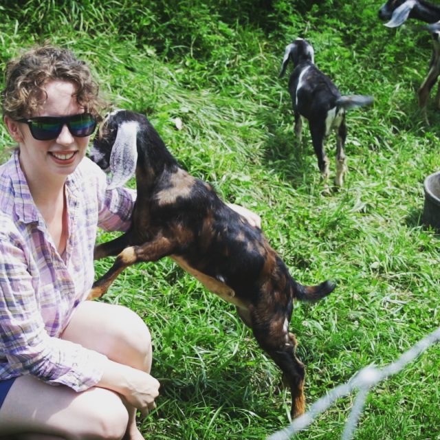 Our Goats Eye Problem… Is It Fixed? Will He Be Culled?