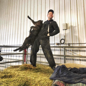Cow Breeding, Labor, and Delivery – Everything You Need to Know with Cody Creelman