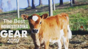 The BEST HOMESTEADING GEAR of the Year