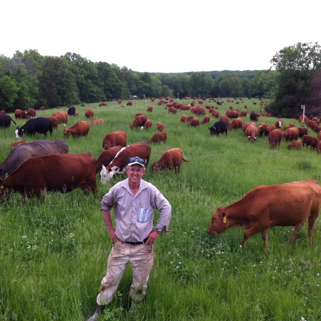 NEAR BANKRUPTCY to OWNING 4 FARMS – Greg Judy talks Making a Living Farming