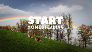 Start Homesteading Today Course
