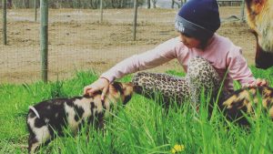 WHY I SWITCHED PIG BREEDS!