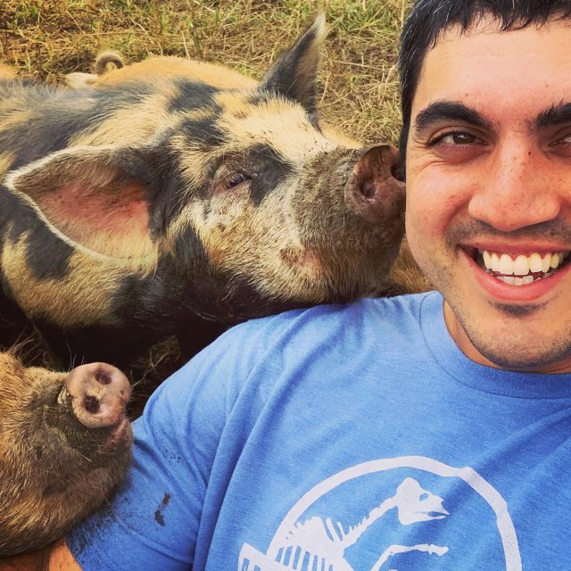 Homesteading Confession Time