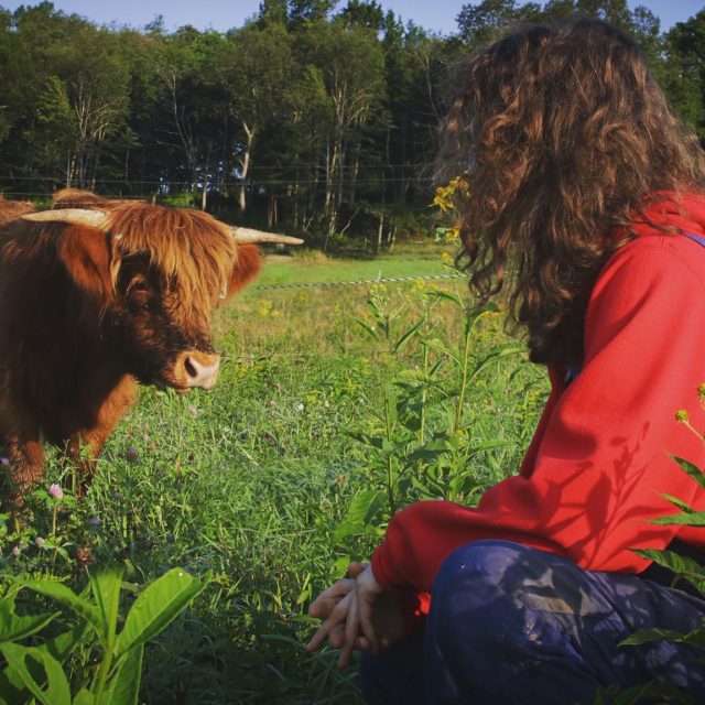 The Surprising Cost of (bull) Semen
