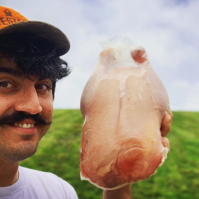 STOP BUYING CHICKEN