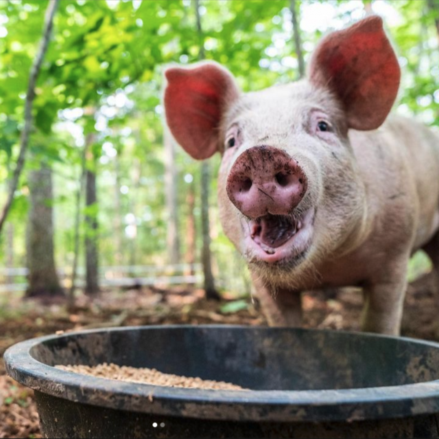 It’s Getting CRAZIER… Prepare For What’s Coming BY HOMESTEADING