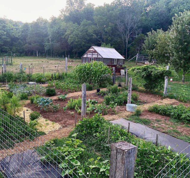AMAZING TRANSFORMATION From FAILED Blueberry FARM into Self Sufficient Homestead – Podcast Ep 118