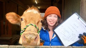 Will a Family Milk Cow Save You Money? FULL Expense Breakdown of a Family Milk Cow